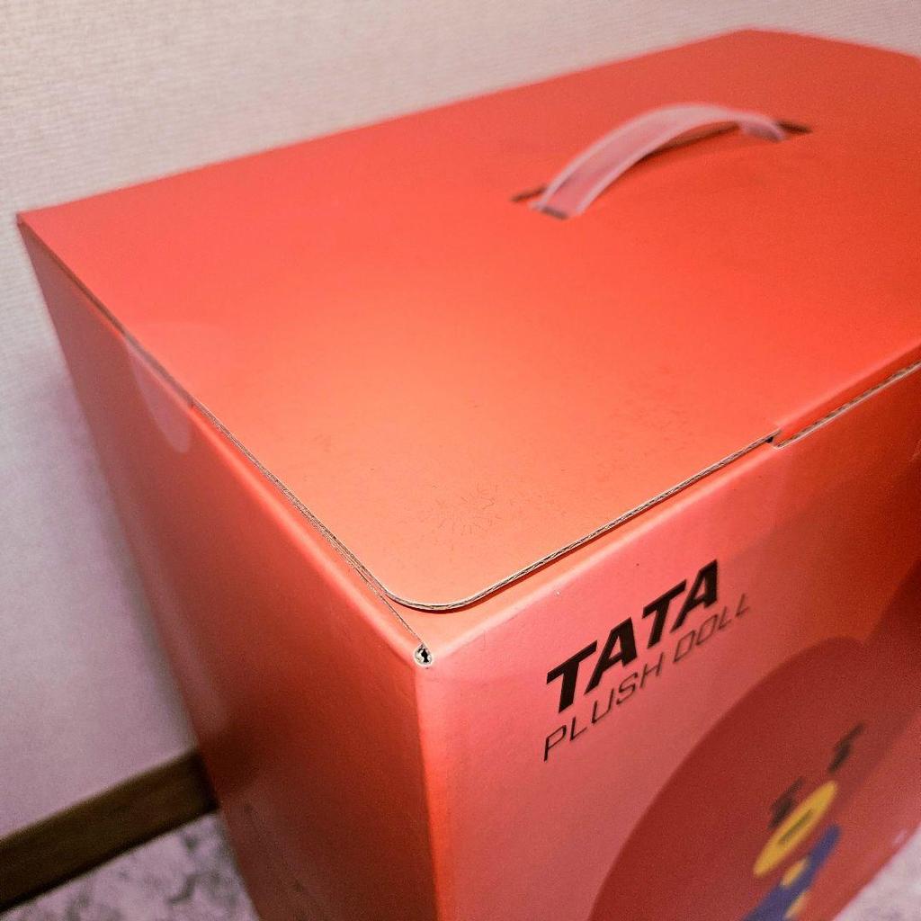 [USED] BT21 TATA Plush Toy, Big Size