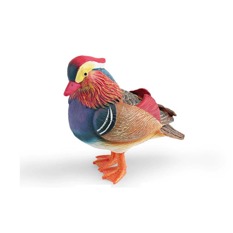 Animal Model Desktop Decor With Plastic Material For Educational Display And Bird Enthusiasts