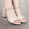 Soft Leather Women's Sandals 2025 Summer New High Heels Versatile One-word Buckle Sandals Fairy Style Thick Heels Women's Shoes