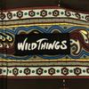 WILDTHINGS Paisley Pattern Hooded Down vest Men's Used