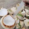 5Pcs Long Handle Coconut Opener Convenient Kitchen Gadget New Digging Coconut Tool  Extractor