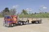 Tamiya Scale Electric RC Big Truck Series 06 Flatbed for Trailer Trucks Model 1/14 No. Semi-Trailer (RC 56306)