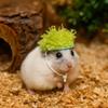 Wool Crochet Mini Hamster Wool Hat Cute Hand-knitted Pet Hat Pet Costume  Small Pet Supplies