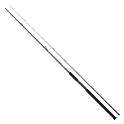 Daiwa Canna da Baitcasting DRAGGER SX 106MHB per Shore Jigging
