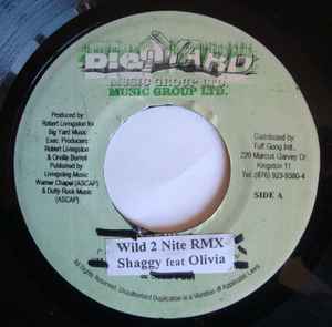 

7inch Record SHAGGY OLIVIA Wild 2 Nite Remix NONE Big Yard Music 2005 Jamaica Reggae Ska Dub Used