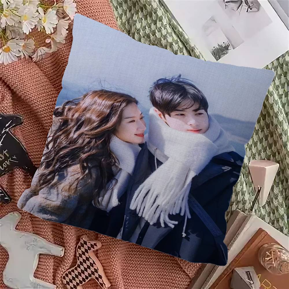 Korean TV True Beauty Pillow Gift Home Office Decoration Bedroom Sofa Car Cushion Cover Case 45x45