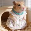 1 Set Hamsterkleid Perlenkette Meerschweinchen Hamster Kleintiere Haustierkleidung Outfits Kostüm Zubehör Zubehör Foto Requisite