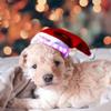 LED Luminous Plush Christmas Hat