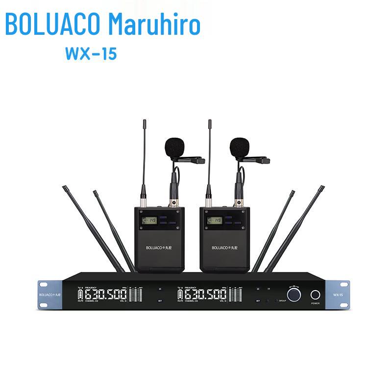 

WanHong WX-15 Wireless True Diversity Dual Microphone System (CN version)