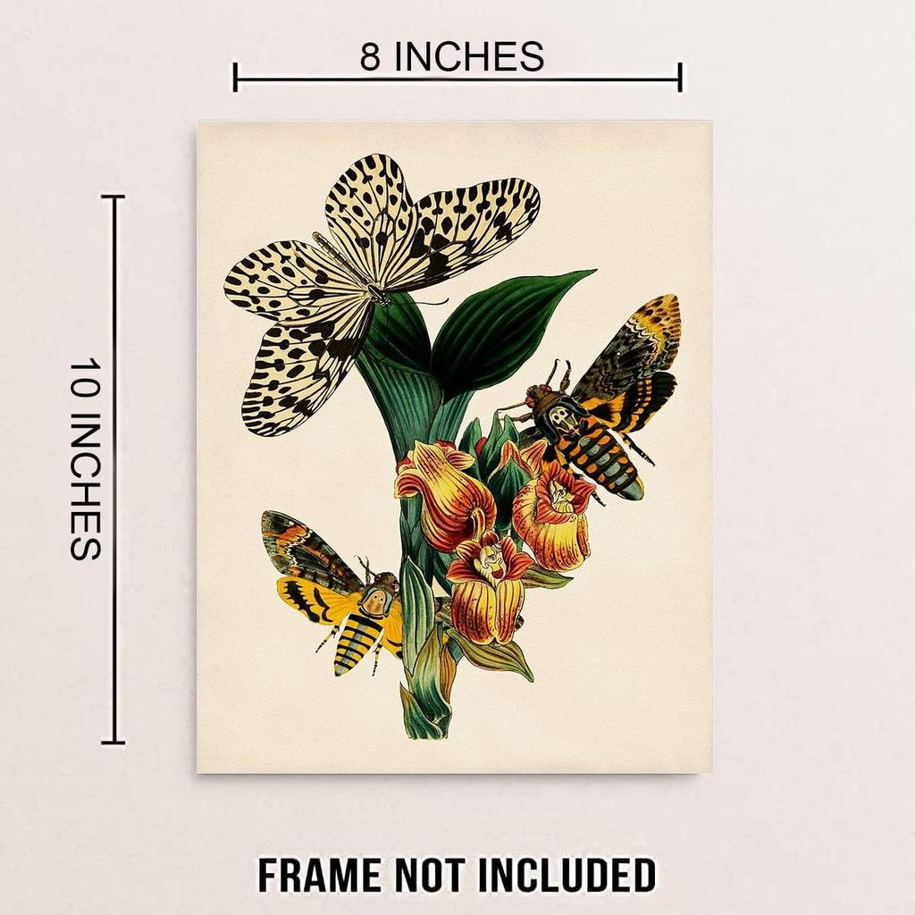 Retro Botanical Butterfly Wall Art, Vintage Canvas Prints, Floral Nature Aesthetic Posters for College Dorm Room Preppy Room Bedroom Decor, Set of