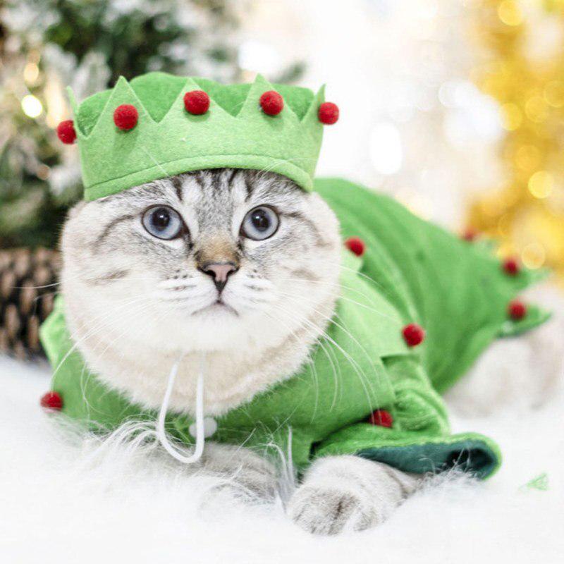 Pet Cat Pet Christmas Elf Costume 