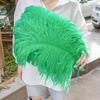 15-60Cm Natural Ostrich Feathers | High-Quality For Diy, Wedding, Party, Stage, Costume & Home Decor | Various Colors Available