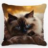 1-Pack Cat Pillowcase, 2D Flat Printing, Single-Sided Print, No Pillow Insert, 17.72 X 17.72 Inches (45 X 45cm), Non-Real Embroidery - Made of Soft an