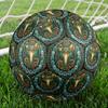 Snake Mandala Symbols Round Football Size 5 Adult Ball Suitable for Training Matches and Outdoor Team.