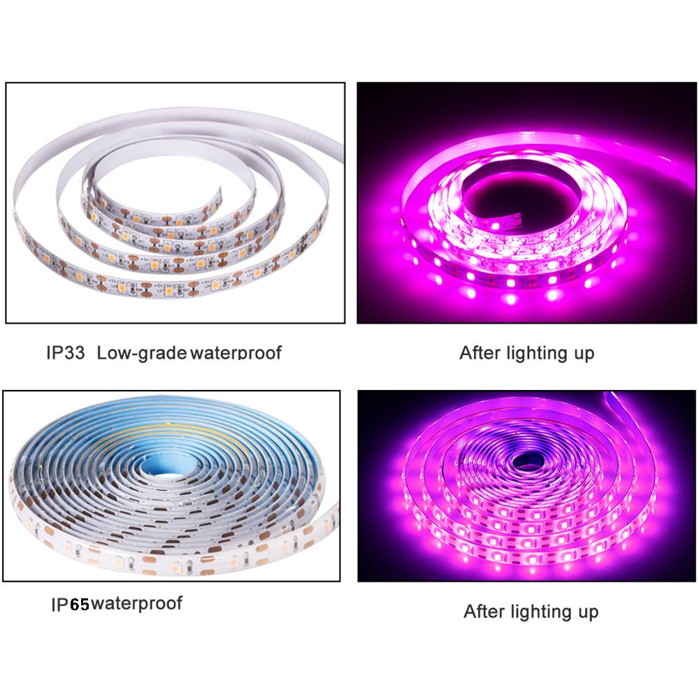 LED Waterproof Grow Light Full Spectrum 5V USB 5m Grow Light Strip 2835 LED Phyto Lamps For Plants Greenhouse Hydroponic Growing
