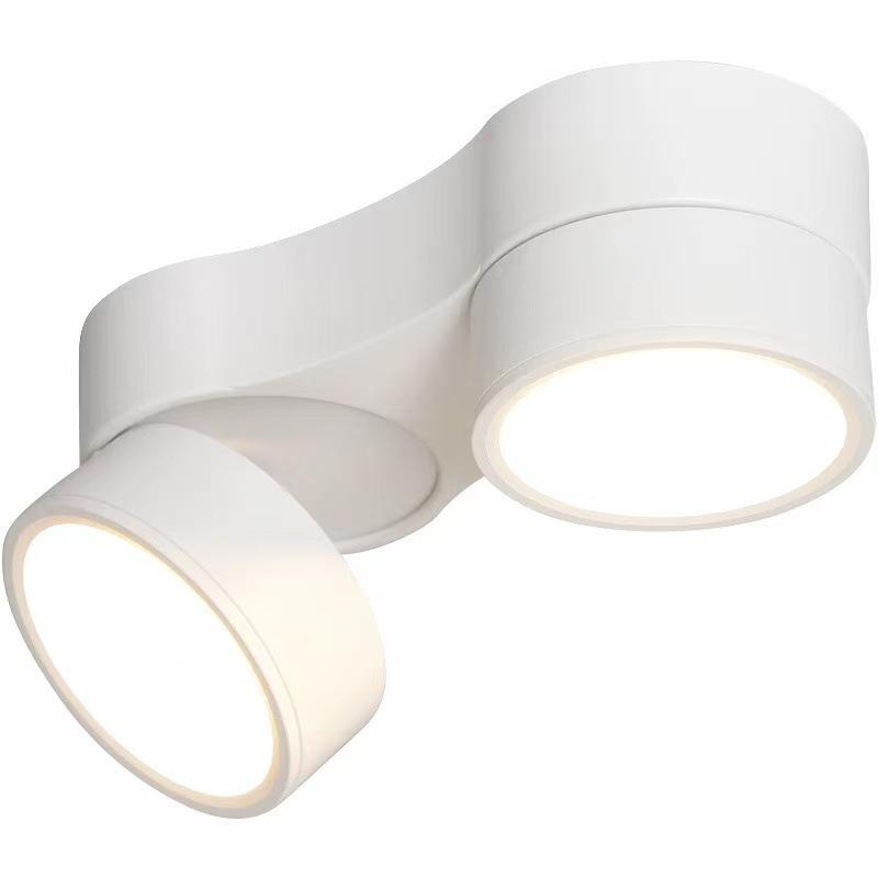 Adjustable LED Double-Head Smart Ceiling Spotlight for Living Room and Aisle