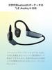 [Audio-Technica] ATH-CC500BT2 Wireless Earphones – Earphones