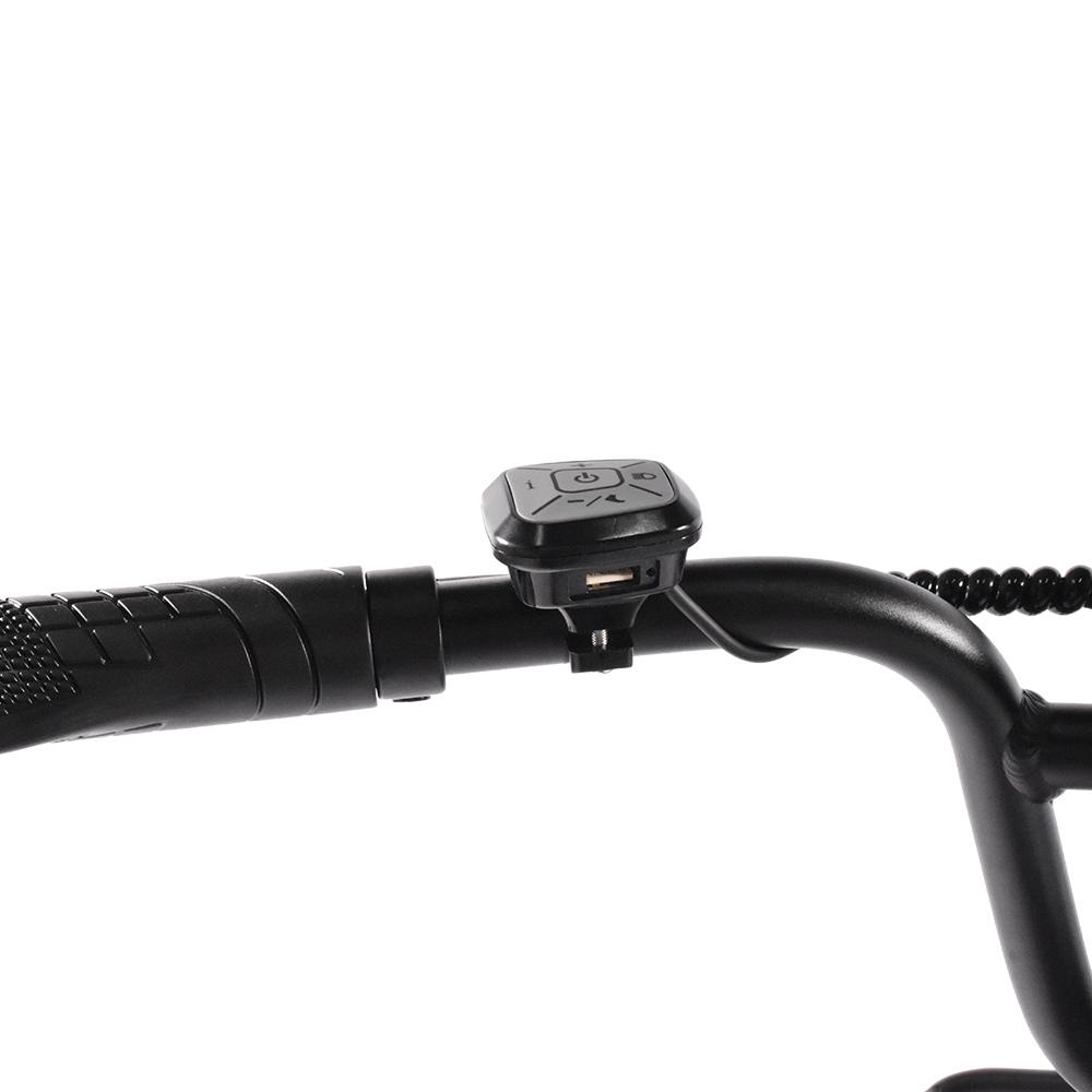 KAISDA K201 All-Terrain Adult Electric Bicycle 350W Motor Men's E-Mountain Bike 36V20.8AH Battery 20 Inch Fat Tyre women's eBike