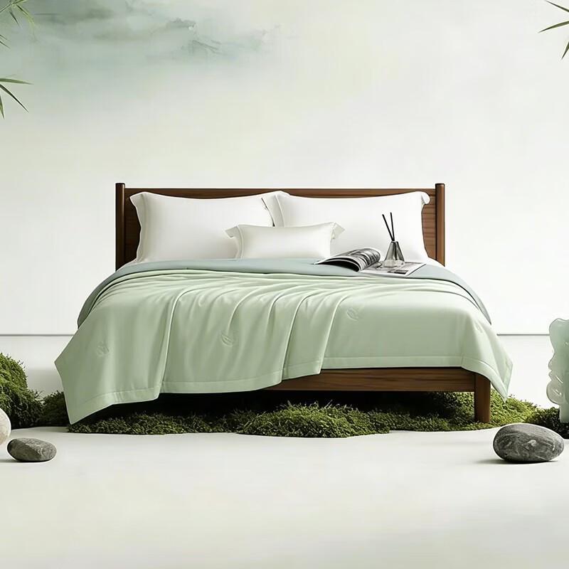 Mercury Home Textiles Zhixia Long-Staple Cotton Antibacterial Quilt