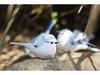 Hand-Carved Wooden Bird Ornament: Cute, Simple Healing Gift