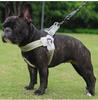 Adjustable Vest Dog Harness and Leash Set for Small to Medium Breeds - Corgi, Shiba Inu, French Bulldog