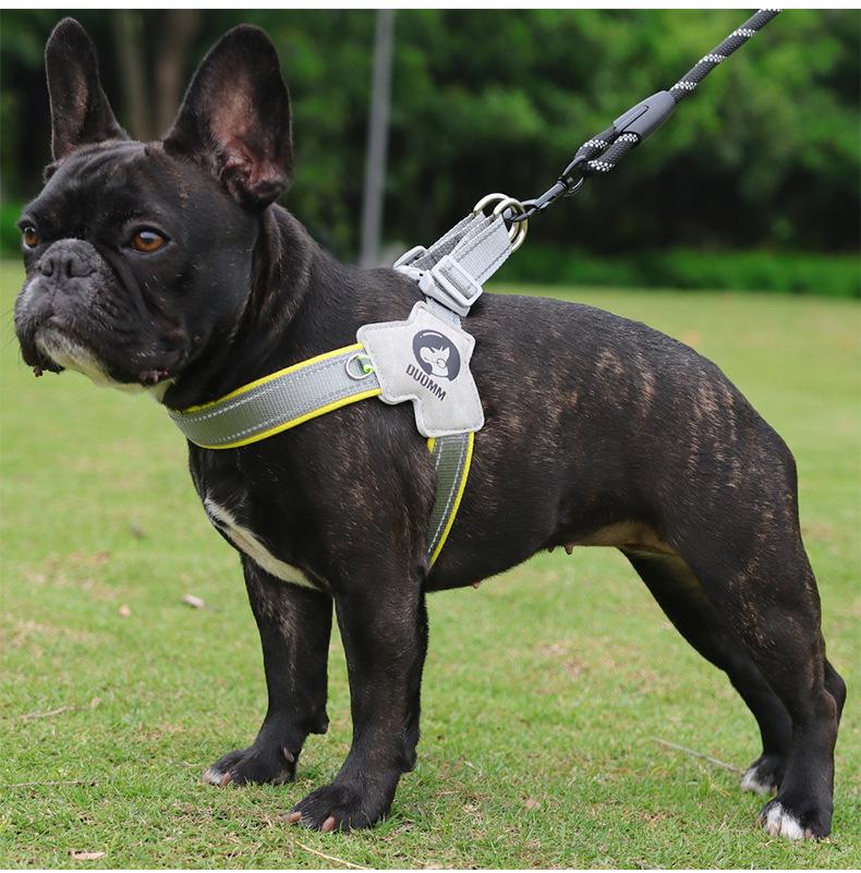 Adjustable Vest Dog Harness and Leash Set for Small to Medium Breeds - Corgi, Shiba Inu, French Bulldog