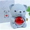 Drawelry Authentic Rose Bear Jewelry Box with Personalized Heart Necklace, Preserved Eternal Rose Hug Bear Gift Set, Heart Necklace Bear Box