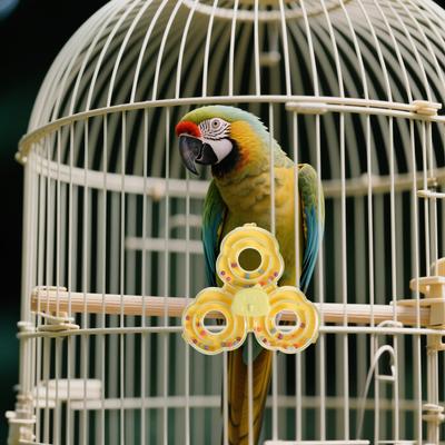 Interactive Parrot Spinner Rattle Chewing Cage Accessory for Small Medium Birds Parakeet Beak Exercise Entertainment