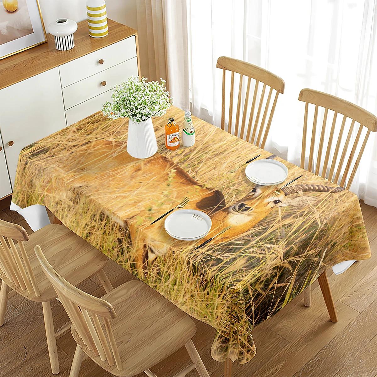 Antilopen Gras Tafelkleed Wilde Dieren Schapen Rechthoekig Tafelkleed Eetkamer Bankje Keuken Buiten Picknick Decoratie 70x70cm