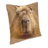 Chilling Capybara Cushion Cover Sofa Decoration Square Throw Pillow Cover 45x45cm