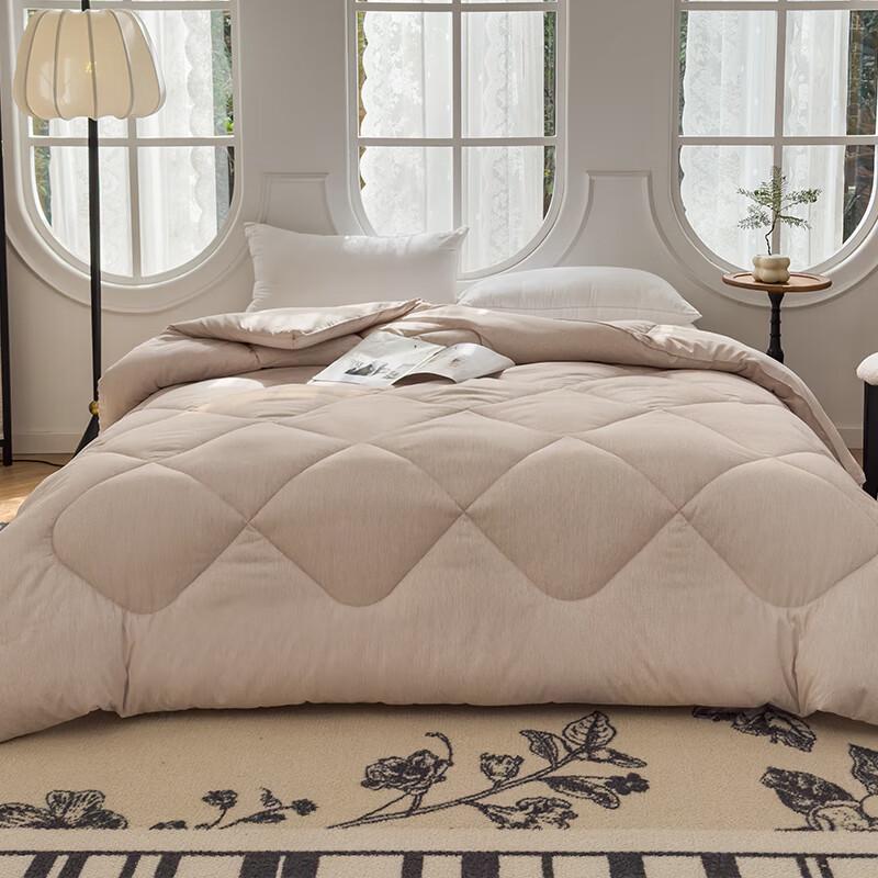 

Baifudi Yuejia All-Season Feather Velvet Quilt