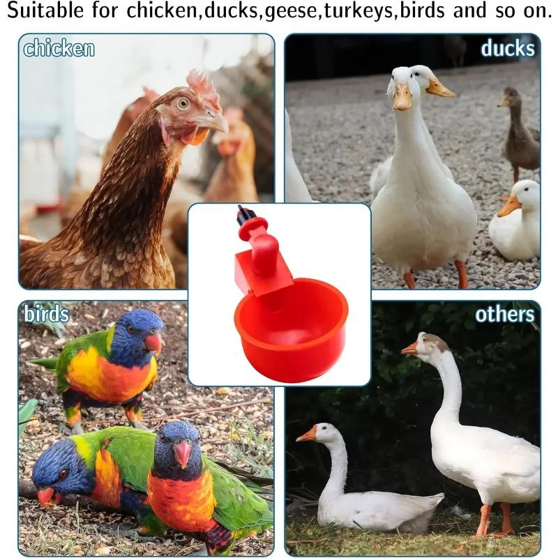 1-30 SZT Kura Kaczka Poidło Automatyczny Dozownik Wody Plastikowy Drób Hodowla Gęś Przepiórka Poidło Łatwy w Montażu