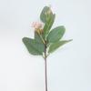 Nordic DIY Eucalyptus Branch for Wedding Decor