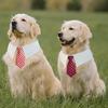 Cat Bow Tie, KOOLMOX Bowtie Cat Collar Adjustable with Various Bow Ties for Dogs, Male Pet Necktie for Small Puppy Boy Dog Collars Wedding Outfit