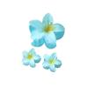 Hot-selling Set of Frangipani Scratch-off Flower Hair Clips Vacation Travel Semi-tied Hair Shark Clip Hair Accessories