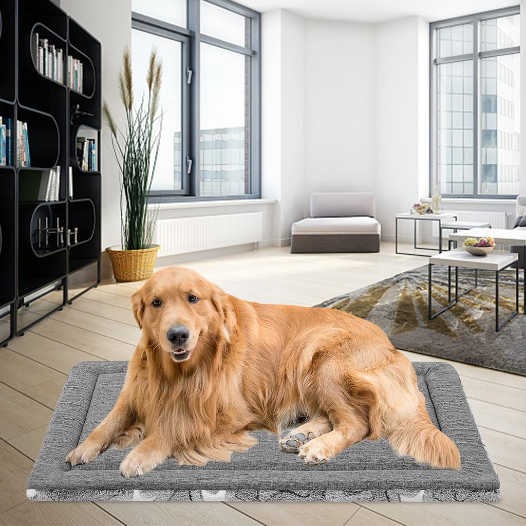 EMPSIGN Dog Cat Pet Pet Supports Sound Cold and Heat Just the Right Easy Retains Suitable for Medium and Large Gray Bed, Bed, Cushion, Mat,
