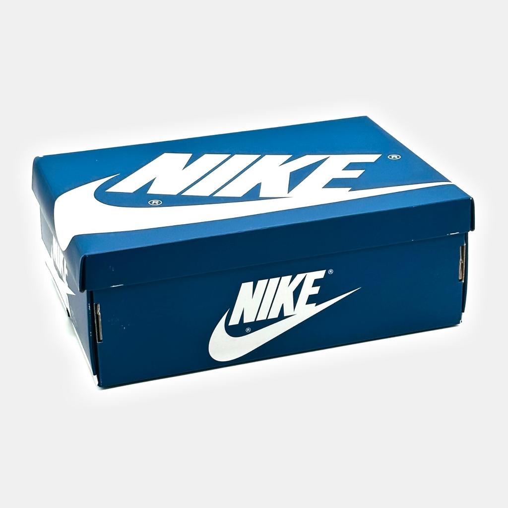 FD1437-410 Nike Air Jordan 1 High OG True Blue White Gray Light Sapphire