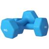 Set of 2 Hexagonal Dumbbells 2x6kg In Metal and Plastic with Non-Slip Grip, 22x10x10 Cm, Light Blue