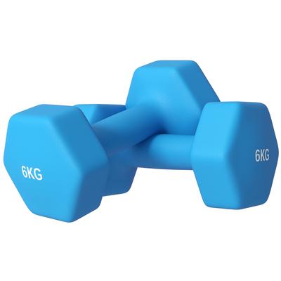 Set of 2 Hexagonal Dumbbells 2x6kg In Metal and Plastic with Non-Slip Grip, 22x10x10 Cm, Light Blue
