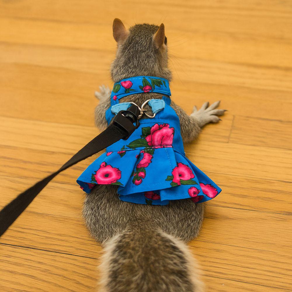 Soft Lizard Leash Harness Escape-Proof Floral Pattern Reptile Harness Dress Breathable Adjustable Bearded Dragon Traction Rope