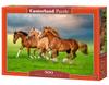 Puzzle 500 Pieces B-54084 Horses In Spring Rush