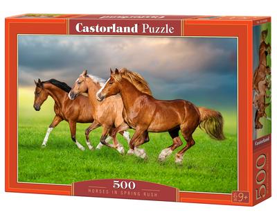 Puzzles & Denkspiele – Puzzles