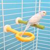 Bird Perch Nature Molar Stand for Parrots Conure Supplies Budgies Grinding Scratchers for Small Medium Parrots Toy