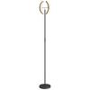 Dimmable Floor Lamp 2700K-6000K with Remote Control and Dual Head Rotating 350 Degrees, Black