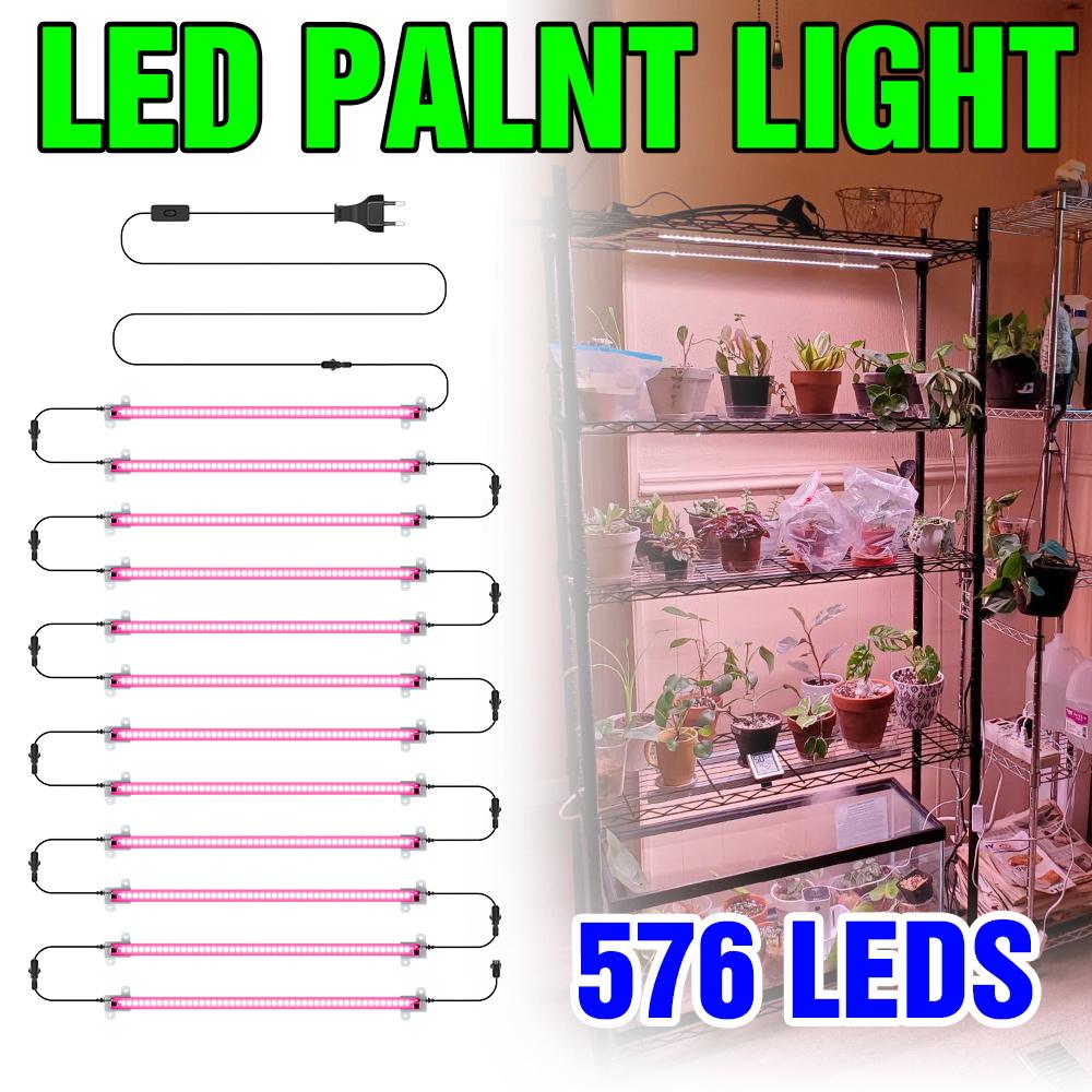 LED Plant Grow Lights Full Spectrum Indoor Hydroponics Seed Flower Vegetables Growth Box Cultivation Lamp EU plug 30/50CM AC220V