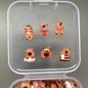 100pcs Mini Capybara Animal Figurines Fairy Garden Home Desk Ornament Miniatures Micro Landscape Diy Craft Decoration