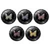 Anna Sui - Glitter Eye Color