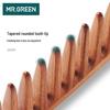 MR.GREEN German Wooden Hair Comb & Massage Brush Gift Set