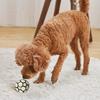 Silent Dog Latex Soccer Ball