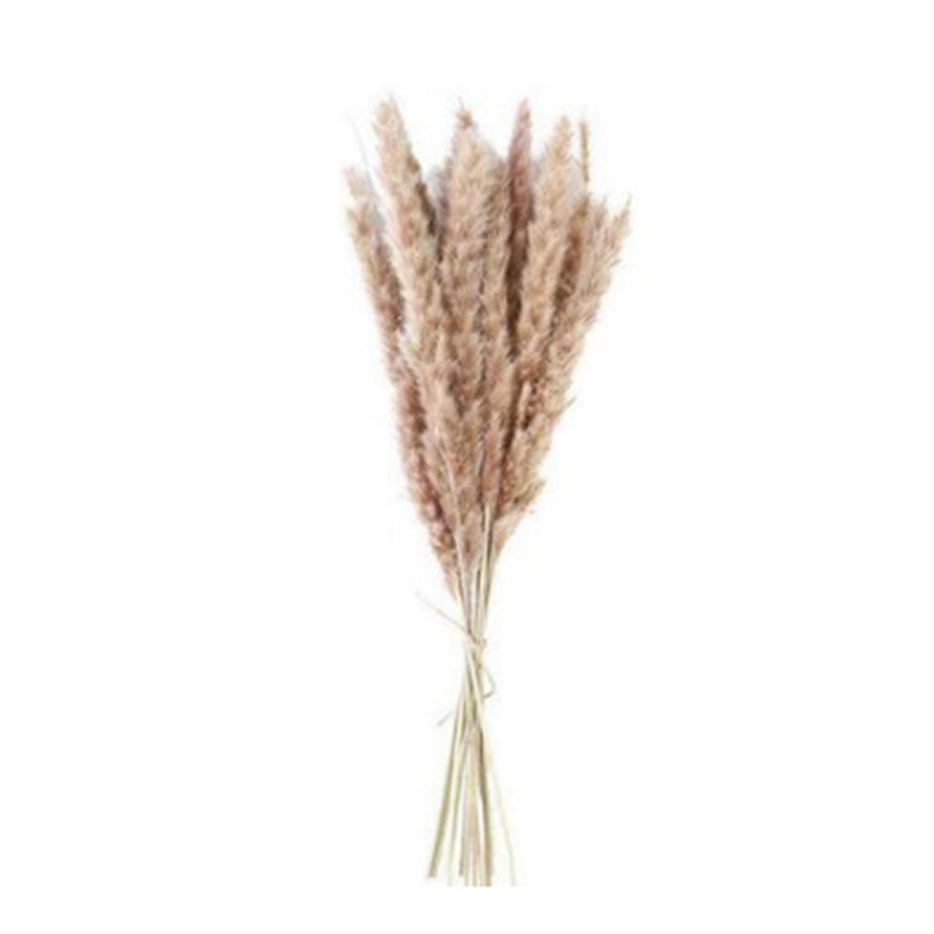 Reed Flower Bouquet Natural Dried Flowers for Home Decoration 55x10cm